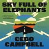 Sky Full of Elephants by Cebo Campbell Hardback Book 9781668034927