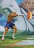 Street Fighter V: Sagat, Bandai S.H.Figuarts