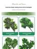 Artificial Red Maple, Ginkgo, Birch, Banyan, Elm Leaves for Landscaping