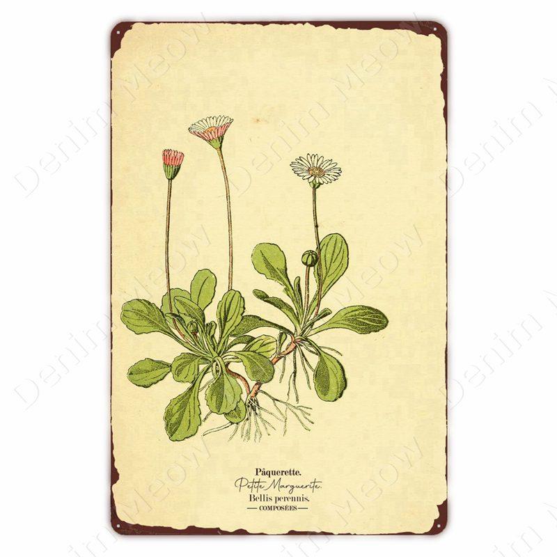 VintageWildFlowersMetalSign Vintage Metal Tin Sign - Wild Flowers Plant Herbarium Art Plaque, Kitchen/Home Wall Decor