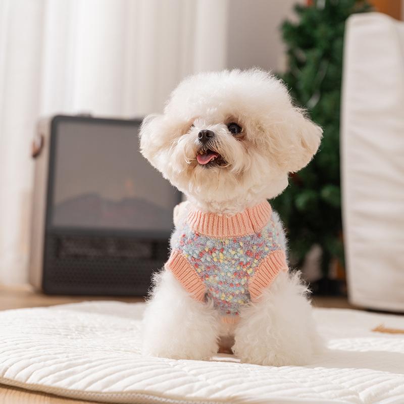 Autumn and winter pet clothes dog clothes cute bear sweater than bear teddy