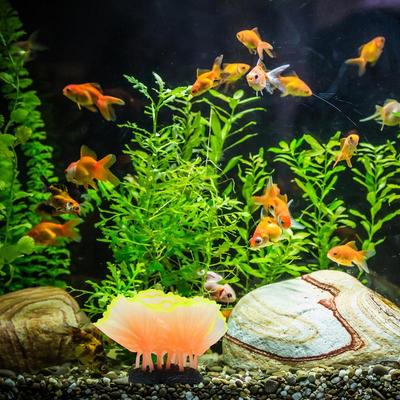 Fish Tank Decorations Plants Aquarium Decorations Plants Fish Tank Accessories Décor Thematic Ornaments For Fish Tank
