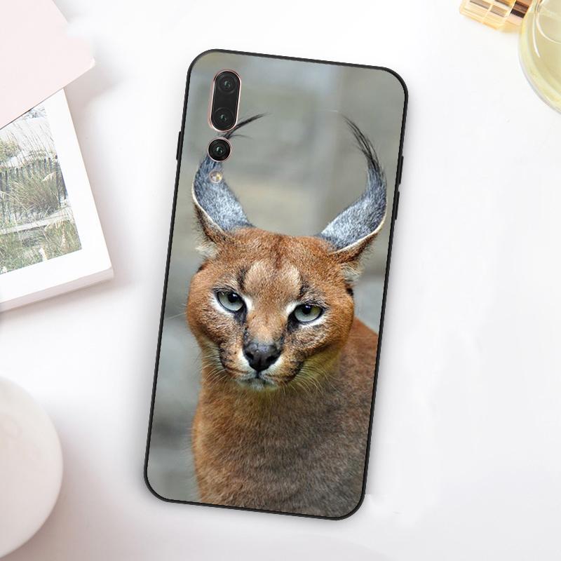 

African Lynx Caracal Big Cat For Huawei Nova 5T 9 10 SE 7i 8i 11i 12i Y73 Y90 Y70 Y72 Y61 Y91 Y60 P20 P40 P30 Lite Case Huawei Nova Y72