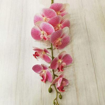 5 Adet Sahte Çiçek Lateks Kelebek Orkide Çiçekleri 9 Baş Gerçek Dokunuş Yapay Phalaenopsis Orkide Ev Çiçek Dekorasyonu için