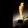 Customized Gold-plating Resin Trophy Award Souvenir, Excellent Character, Home Decoration, Creative, Crystal Base, Engraving 1Pc