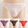 Sexy Mesh Briefs Sheer See-Through Thong Underpants