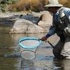 New Floating Fishing Net PC Foldable Landing Net Flexible Handle Nylon Mesh Sea Fishing Accessorie