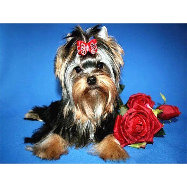 DIY 5D diamantová malba pes Křížkový steh Diamantové vyšívání Prodej Zvířecí mozaika Kamínky Obrázky