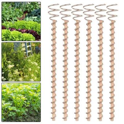 Bonsai Koper Elektrocultuur Plantstokken Draadspoel Houten Staaf Tuinieren Koperen Spoel Antennes Plantensteun Frame Tuin
