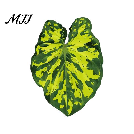 Plant Home Decor 3D Tropical Plants Refrigerator Magnet, Acrylic Green Decorative Fridge Metal Surface Magnet Memo Notes Photo Holder for Kitchen