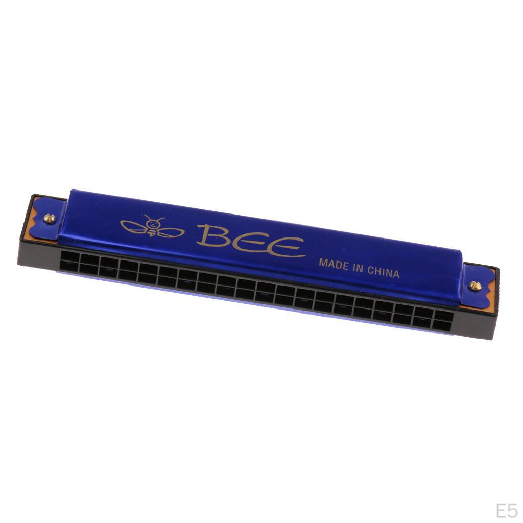 20 Hole Harmonica Mouth Organ Musical Instrument Gift