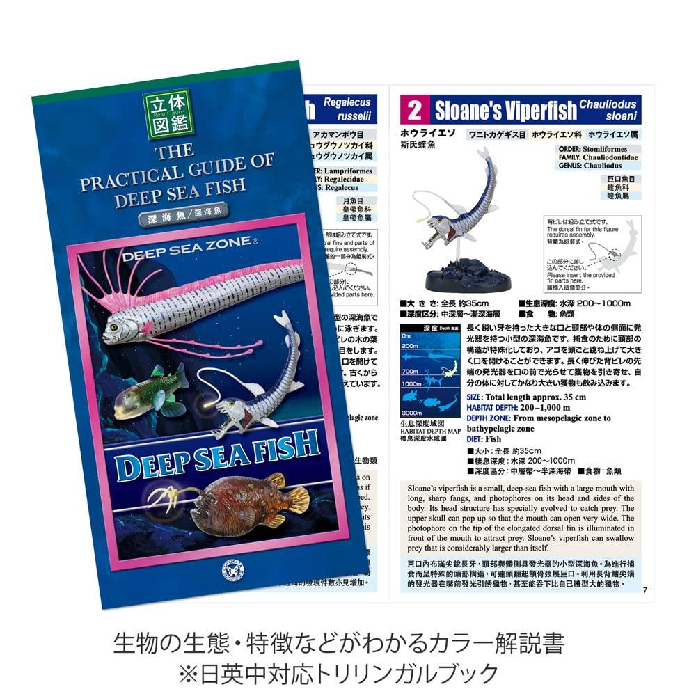 Calorata 3D Fish Figures Species Includes Realistic Toy Birthday Gift Sanitation Law Realistic Figure Box Gift Deep-Sea (7 / Instructions)