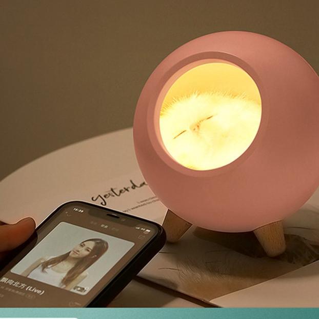 Cute House Touch Dimming Kitten Night Light For Kids Baby Bedroom Bedside Charging Lamp Creative Gift Cats Home Atmosphere Decor