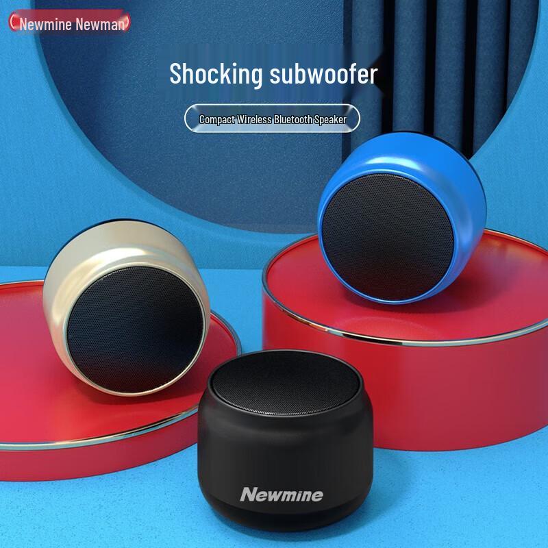 Newmine BT31 Portable Bluetooth Speaker CN plug (adapter included)