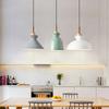 Nordic Lamps Simple Modern Macaron Living Room Chandelier Restaurant Dining Table Single-head Milk Tea Shop Lighting chandelier