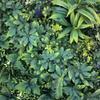 Flame-Retardant Green Wall: Anti-Aging Lawn Decoration for Malls & Backgrounds