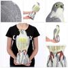 KADAX Pigeon Bird Scarer Large Falcon Bird