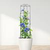 Metall Hageespalier Klatreplanter Ramme Espalier Dekorativ Plantestøtteramme for Klematis Roser Utendørs Innendørs Bruk