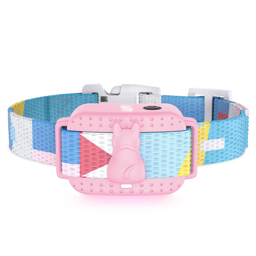 Remote Dog Training & Anti-Bark Collar
