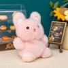 Animal Series Plush Toys 10Cm Cute Stuffed Doll Backpack Pendant Keychain Home Decor Toys Adorably Birthday Surprise Gifts
