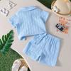 Toddler Boys Summer Lapel Short Sleeve Top and Shorts