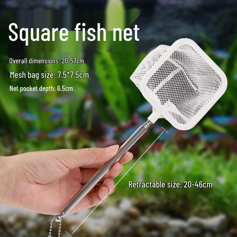 

Улучшенный 3D Выдвижной Съемный Сачок для Рыб из Нержавеющей Стали для Декоративных Рыб White