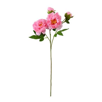 Echte Berührung Künstliche Pfingstrose Falsche Seidenpfingstrose mit langem Stiel für Valentinstag Blumendekoration Hochzeitsfeier Zuhause Küche Vase Dekor