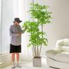 Nandina Domestica High-End Floor-Standing Faux Plant: Luxurious Indoor Greenery for Living Room Décor