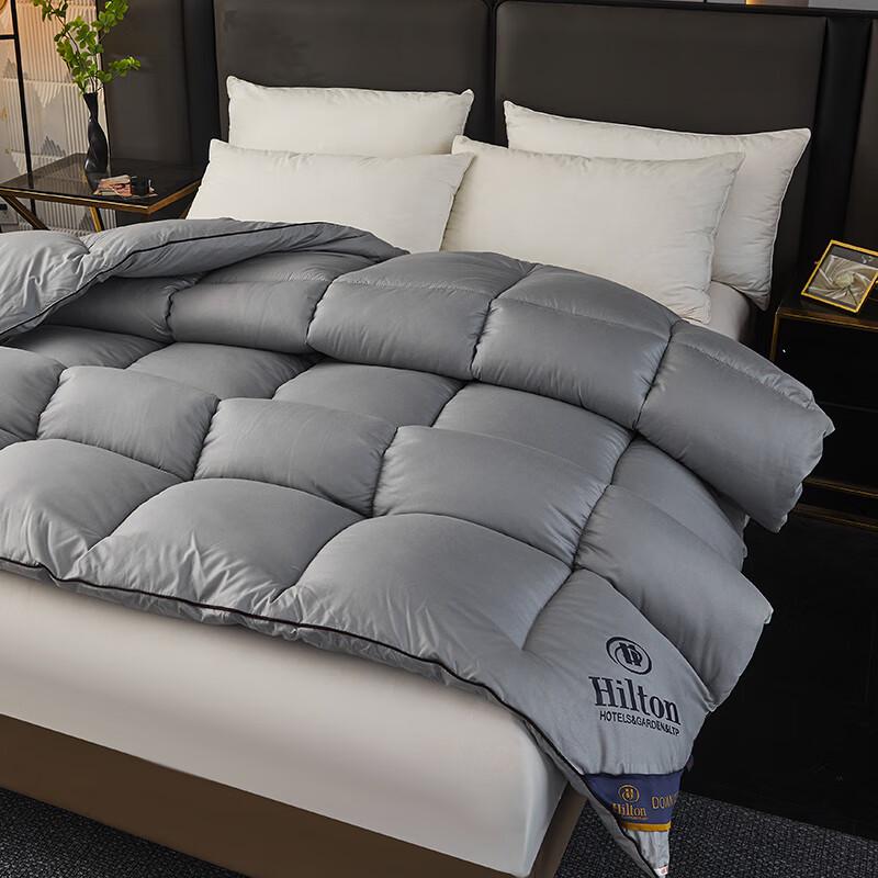 Manya House Hilton Feather Velvet Winter Quilt