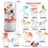 Frog Life Cycle Model Set: Tadpole to Frog Educational Toys for Kids