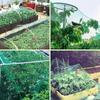 Green Anti Bird Netting Pond Pool Protection Net Mesh Garden Plant Fruit Vegetables Flower Traps Netting Protect Pest Control