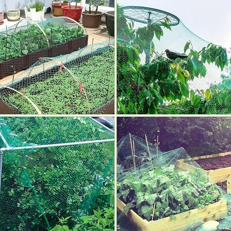 Green Anti Bird Netting Pond Pool Protection Net Mesh Garden Plant Fruit Vegetables Flower Traps Netting Protect Pest Control