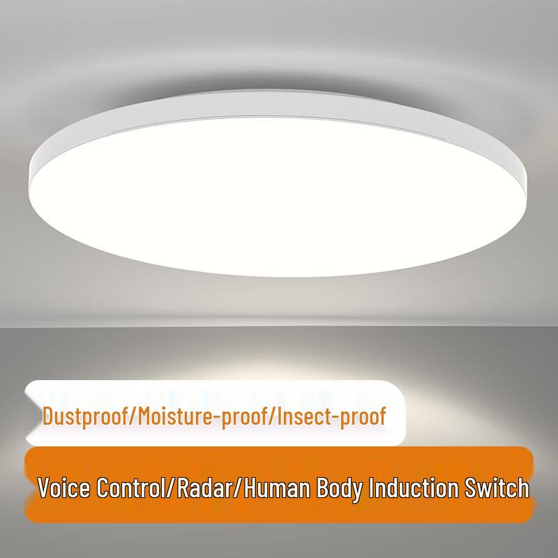 Radar & Motion Sensor Emergency Corridor LED Light