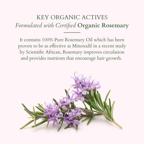 Lotus Organics+ Hair Growth Active Concentrate Serum | Made with 100% Organic Rosemary Oil, AnaGain & Hairdian | Boosts Hair Growth | 28ml