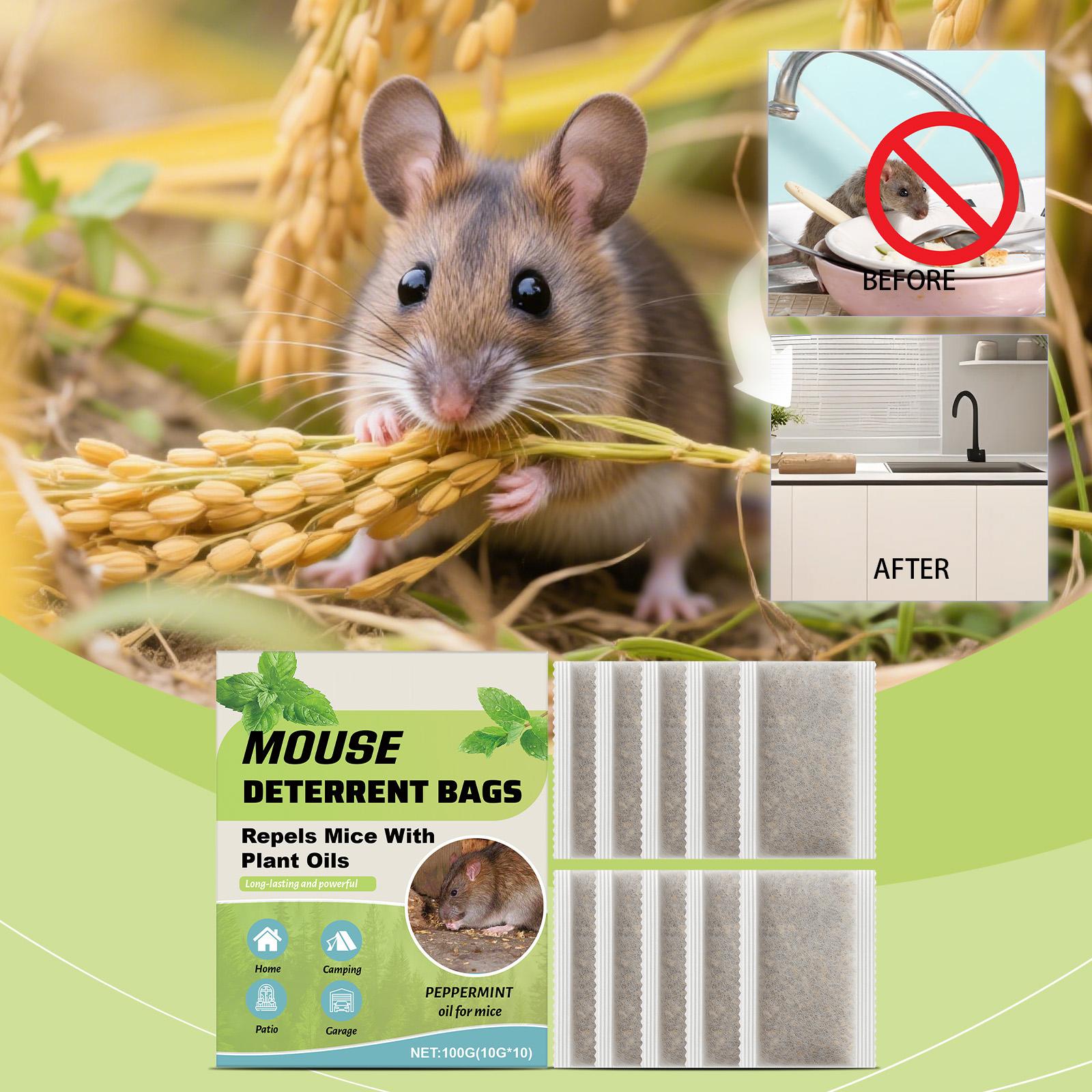 

Пакет от вредителей, Мятный запах, Длительного действия, Подходит для дома, террасы, кемпинга и гаража. One Size зелёный