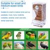 1 Stück Papageienfutterspender Spritzschutz Transparente Vogelfutterbox Klares Fütterungsgerät für Papageien Langlebige Vogelfutterbox