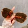 58238 Douyin Clip-On Unisex Myopia Sunglasses - Fashionable Travel & Driving Glasses