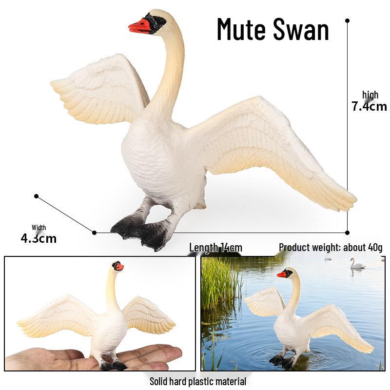 Realistic Warty-Nosed Swan Heart Model: Children's Cognitive Toy & Zoo Decoration