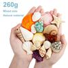 Natürliches Muschel-Schneckenhaus-Set Kinder Bastelmaterial-Packung Haus DIY Dekoration Fotorahmen Dekoration Strandbasteln