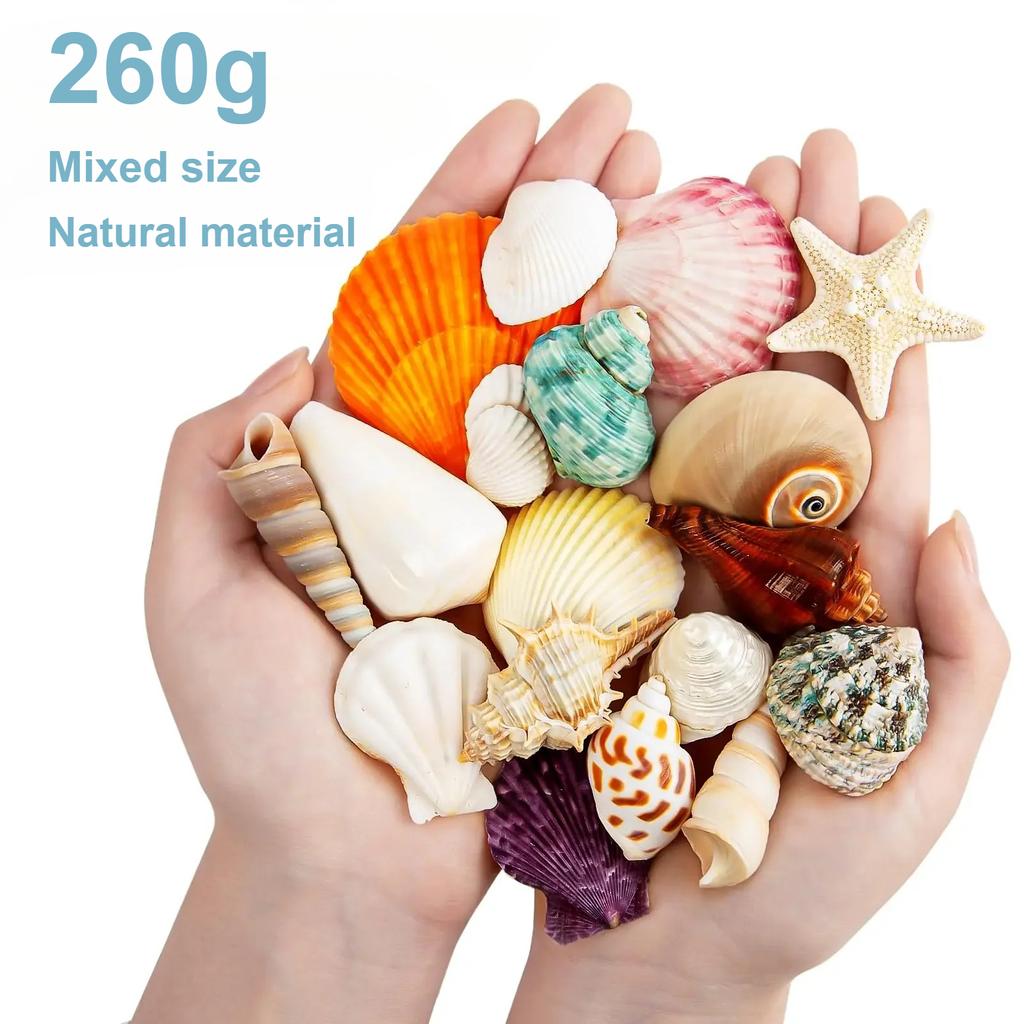 Natürliches Muschel-Schneckenhaus-Set Kinder Bastelmaterial-Packung Haus DIY Dekoration Fotorahmen Dekoration Strandbasteln