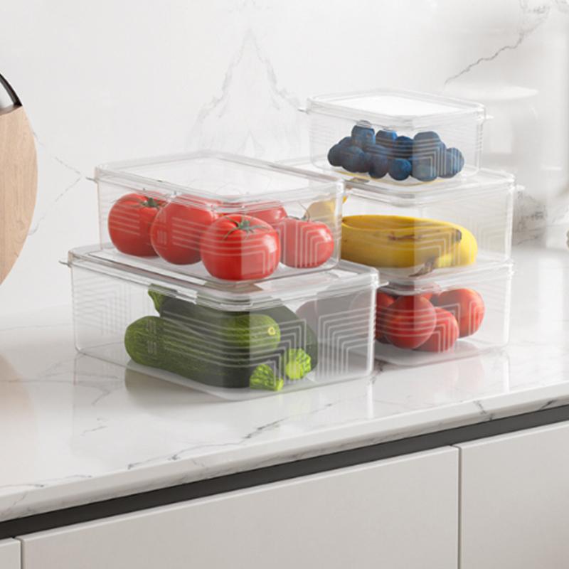 Small Food Preservation Boxes Refrigerator Frozen Meat Vegetable Fresh-Keeping Box Transparent Kitchen Sealed Storage Box