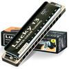 East Top Harmonica, 13-Hole Blues Harmonica In A Key, for Jazz Professionals, Adults, and Children, Study and Practice, Brass Cover, Canvas Case,