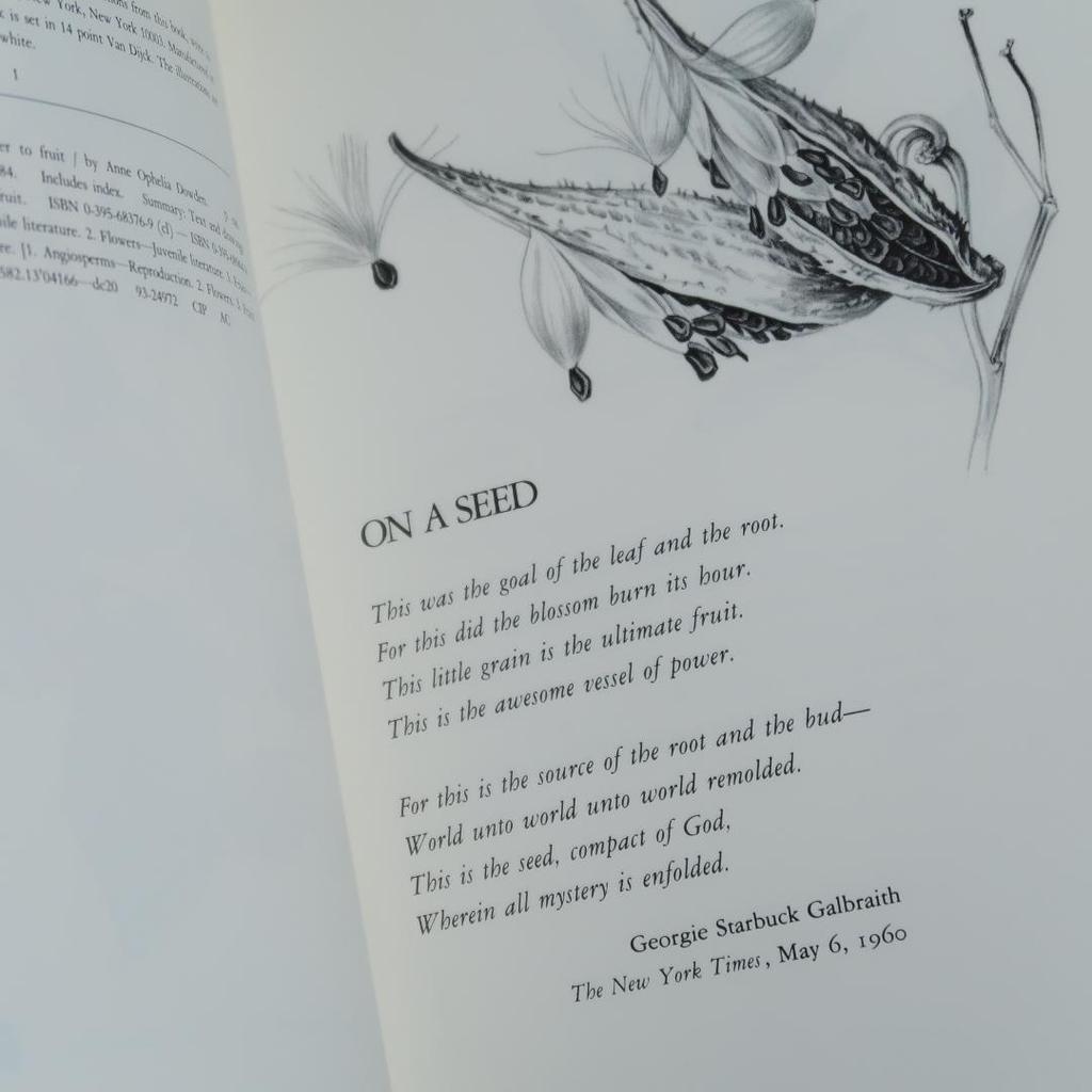 [USED] Books: From Flower to Fruit (botanical art, plant illustrations)