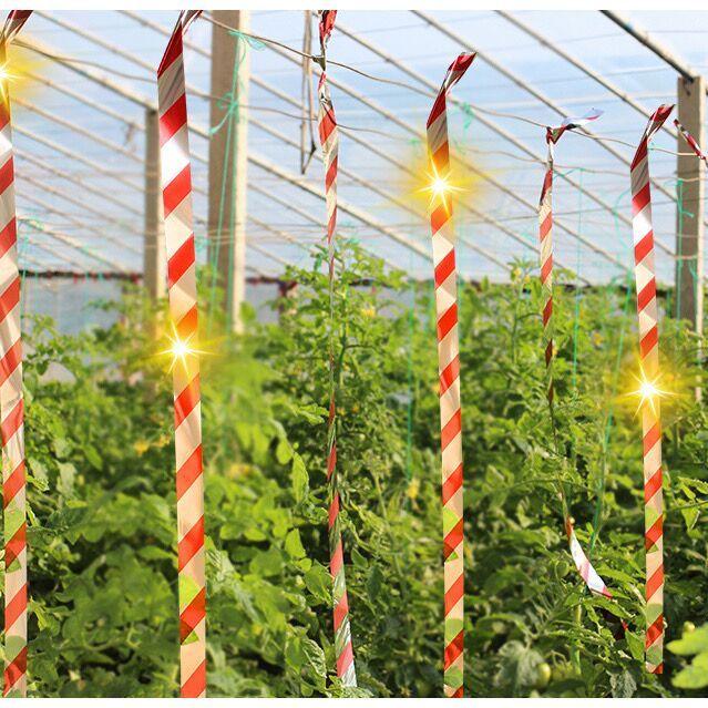 Anti Bird Flashing Reflective Tapes Fruit Tree Bird Pigeon Scare Tape Strips Double Sided Repellent Deterrent Ribbon for Orchard