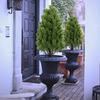 Artificial Cedar Topiary Tree with Stake Lifelike Faux Cedar Pines Christmas Tree UV Resistant Simulated Shrubs for Front Porch Outdoor Decor