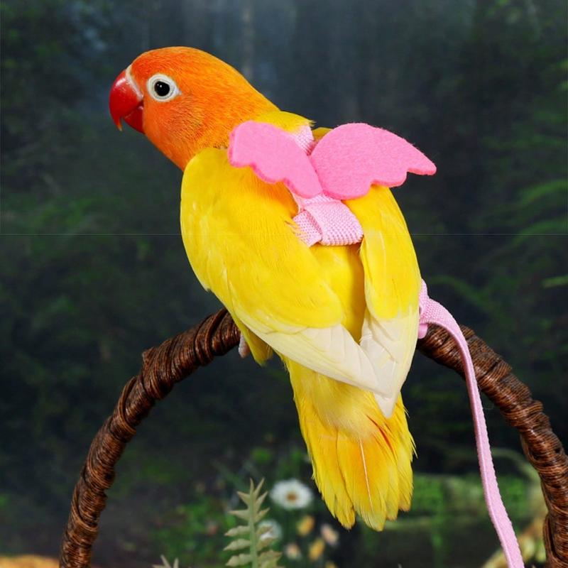 Geschirr Verstellbares Haustier Vogel Geschirr Leine Draußen Fliegen Training Seil Leine Bissfest Elastisches Band Für Vogel Papagei Kakadu Aras Wellensittich
