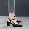 Sharp Pointed Sandals for Women Spring Korean Thick Heel Single Buckle Strap Casual Single Shoes