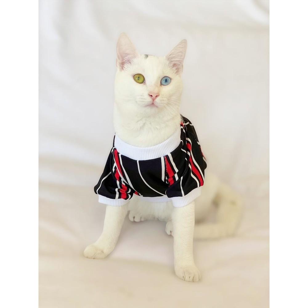 Cheap Cat Clothing and Supplies Joom