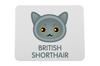British Shorthair - Mouse Pad by Art-Dog Brand