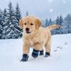 4PCS/SET Thickened Pet Snow Boots Warm Dog Cotton Shoes Dog Footwear Winter Dog Snow Boots  Winter